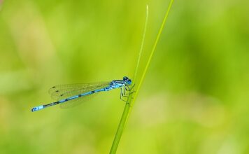 Co w pokoju 3 latka? Co w pokoju 3 latka?