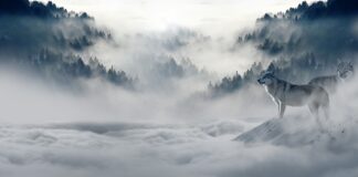 W czym jeździć na rowerze zimą?