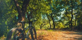 Czy warto kupić Fat Bike?