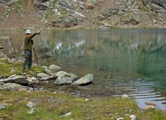 Jaka wędkę na lina?