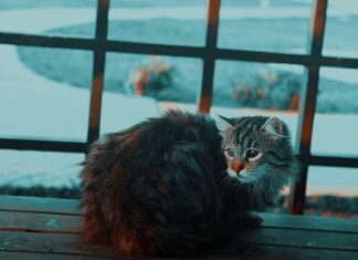 Jak pozbyć się przykrego zapachu juty?