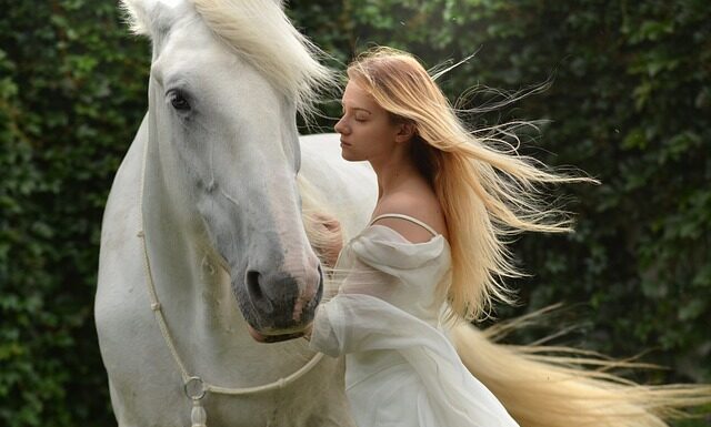 Co daje nam koń? Co daje nam koń?